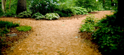 Chritian Heir Choice of Two Paths Chritian Heir Choice of Two Paths