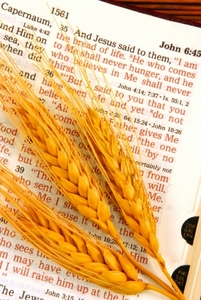 Bread for the Hungry - Trusting in Jesus Bread for the Hungry - Trusting in Jesus